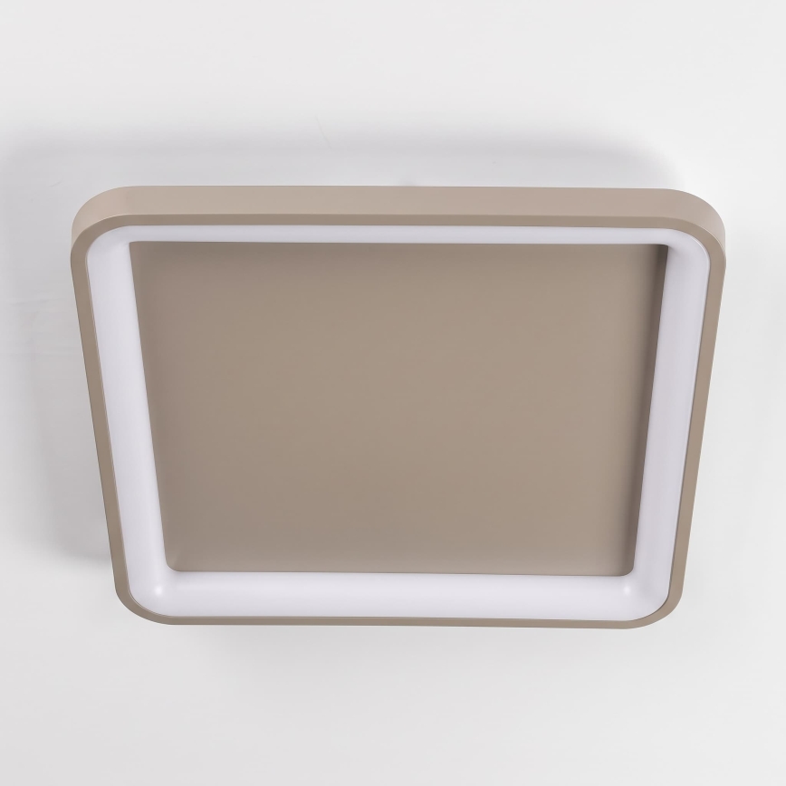 BRILAGI - LED Stmívatelné stropní svítidlo FALCON SLIM LED/50W/230V 3000-6500K 50x50 cm béžová + dálkové ovládání