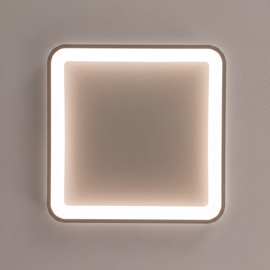 BRILAGI - LED Stmívatelné stropní svítidlo FALCON SLIM LED/50W/230V 3000-6500K 50x50 cm béžová + dálkové ovládání