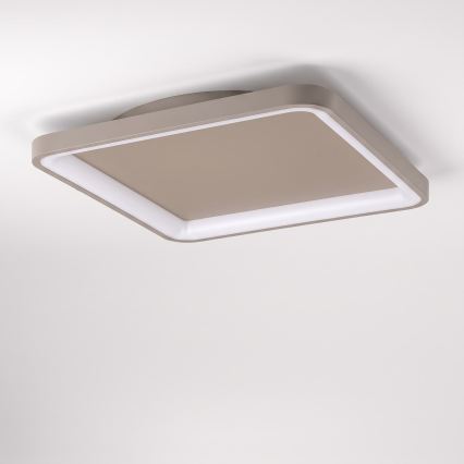 BRILAGI - LED Stmívatelné stropní svítidlo FALCON SLIM LED/50W/230V 3000-6500K 50x50 cm béžová + dálkové ovládání