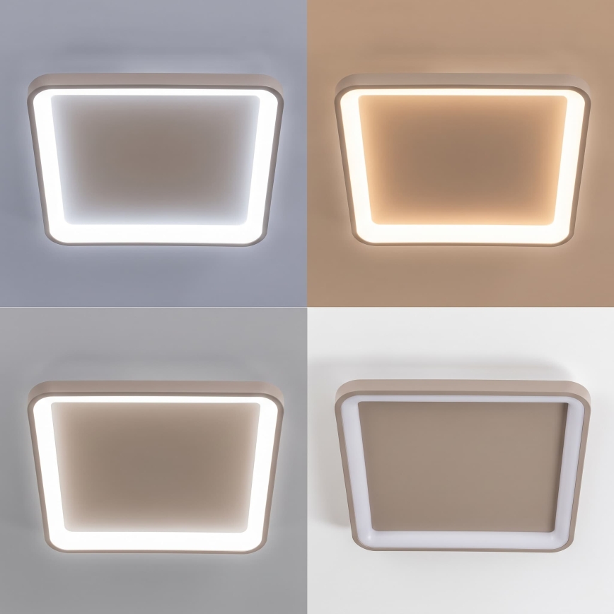 BRILAGI - LED Stmívatelné stropní svítidlo FALCON SLIM LED/50W/230V 3000-6500K 50x50 cm béžová + dálkové ovládání