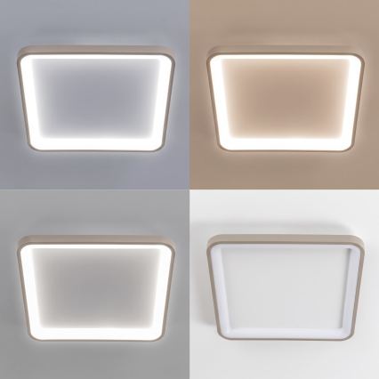 BRILAGI - LED Stmívatelné stropní svítidlo FALCON SLIM LED/50W/230V 3000-6500K 50x50 cm bílá/béžová + dálkové ovládání