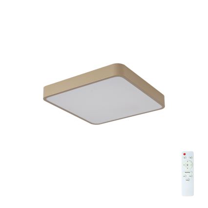 Brilagi - LED Stmívatelné stropní svítidlo POOL LED/36W/230V 3000-6000K 40x40 cm béžová + dálkové ovládání
