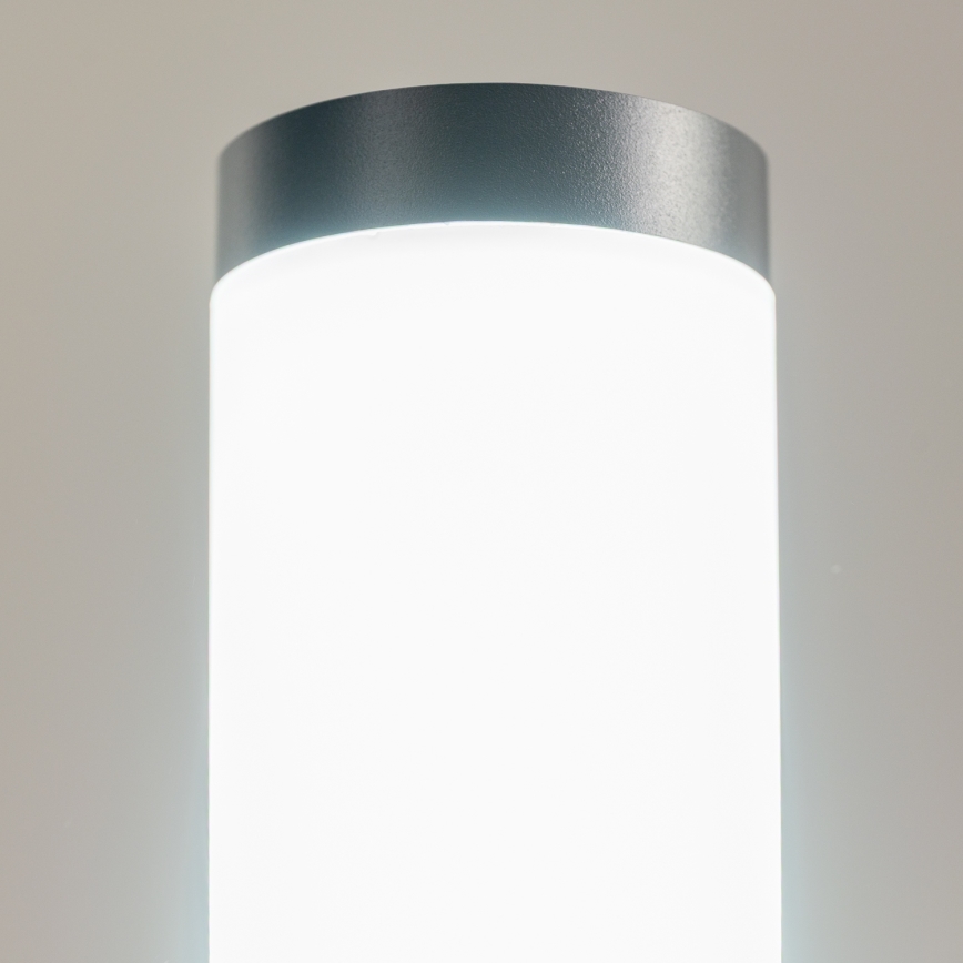BRILAGI - LED Stmívatelná venkovní lampa ELIA 1xE27/6W/230V 2700-6500K IP44 Wi-Fi 100 cm antracit