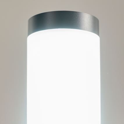 BRILAGI - LED Stmívatelná venkovní lampa ELIA 1xE27/6W/230V 2700-6500K IP44 Wi-Fi 50 cm antracit