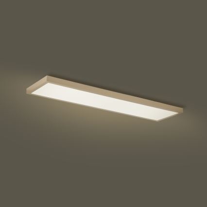 Brilagi - LED Stmívatelné koupelnové stropní svítidlo FRAME SMART LED/50W/230V 120x30 cm 3000-6000K IP44 béžová + dálkové ovládání