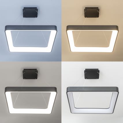 Brilagi - LED Stmívatelný lustr na lanku FALCON II LED/125W/230V 3000-6500K 60x60 cm černá + dálkové ovládání