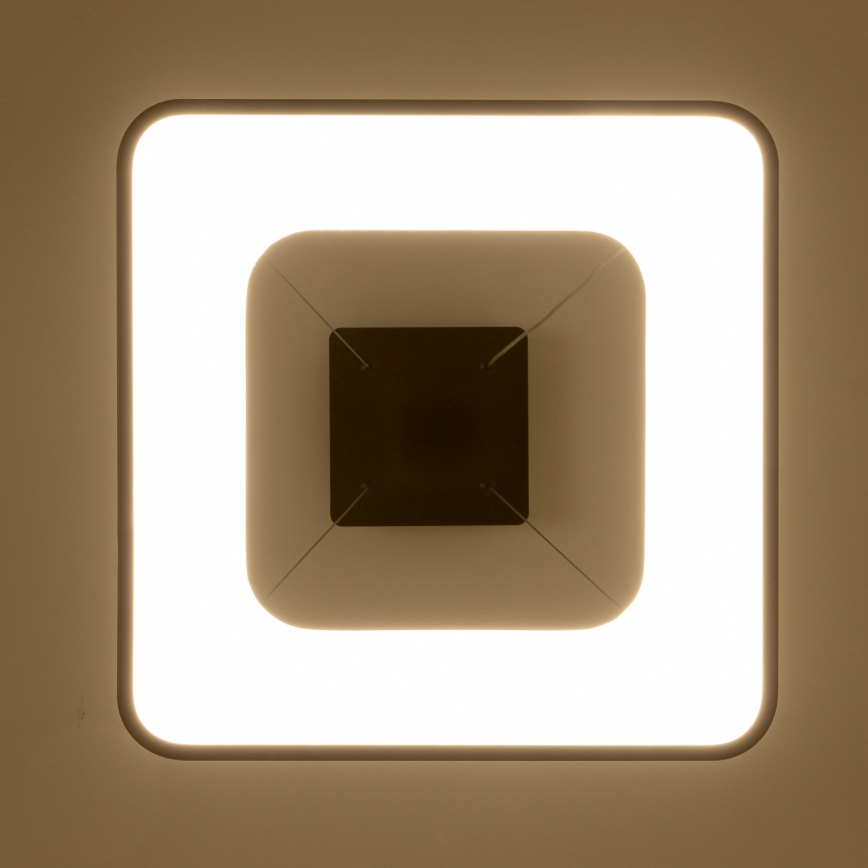 Brilagi - LED Stmívatelný lustr na lanku FALCON II LED/80W/230V 3000-6500K 40x40 cm černá + dálkové ovládání