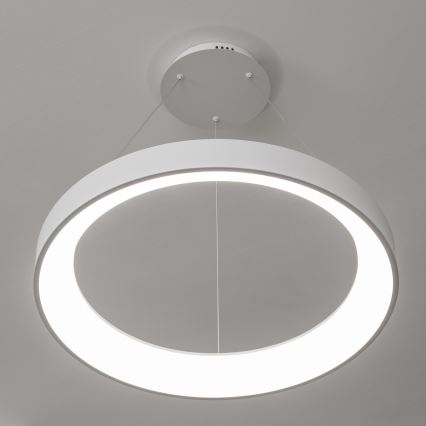 Brilagi - LED Stmívatelný lustr na lanku FALCON II LED/99W/230V 3000-6500K pr. 60 cm bílá + dálkové ovládání