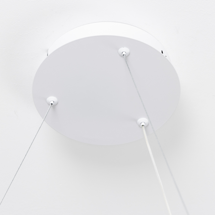 Brilagi - LED Stmívatelný lustr na lanku FALCON SLIM LED/42W/230V 3000-6500K pr. 50 cm bílá + dálkové ovládání