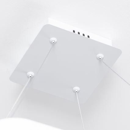 Brilagi - LED Stmívatelný lustr na lanku FALCON SLIM LED/50W/230V 3000-6500K 50x50 cm bílá + dálkové ovládání