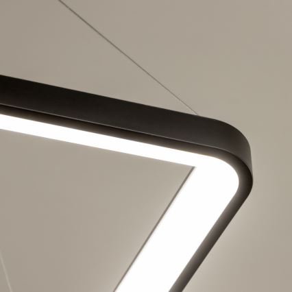 Brilagi - LED Stmívatelný lustr na lanku FALCON SLIM LED/50W/230V 3000-6500K 50x50 cm černá + dálkové ovládání