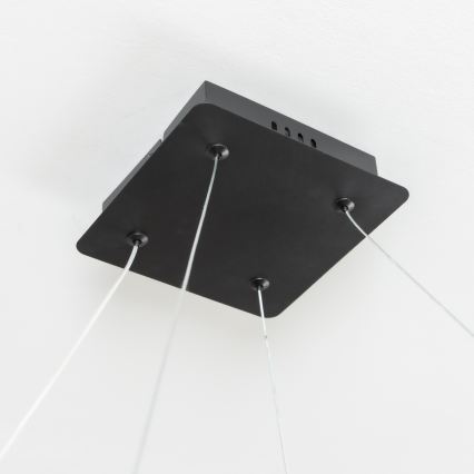Brilagi - LED Stmívatelný lustr na lanku FALCON SLIM LED/50W/230V 3000-6500K 50x50 cm černá + dálkové ovládání