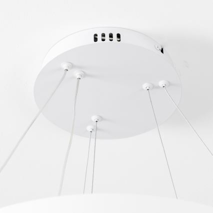 Brilagi - LED Stmívatelný lustr na lanku FALCON SLIM LED/68W/230V 3000-6500K pr. 50 cm bílá + dálkové ovládání