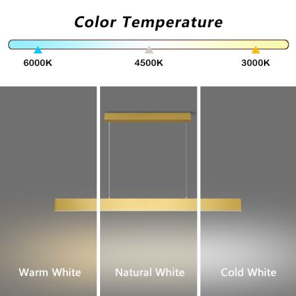 Brilagi - LED Stmívatelný lustr na lanku SLIMLINE LED/40W/230V 3000-6000K zlatá + dálkové ovládání