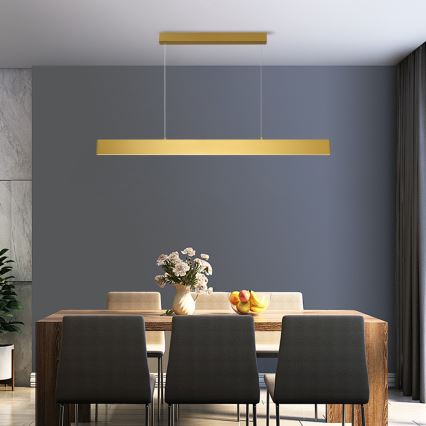 Brilagi - LED Stmívatelný lustr na lanku SLIMLINE LED/40W/230V 3000-6000K zlatá + dálkové ovládání