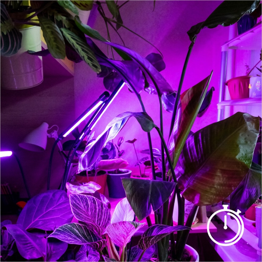 Brilagi - LED Stmívatelná flexibilní stojací lampa pro pěstování rostlin VITABLOOM 4xLED/7,5W/230V černá
