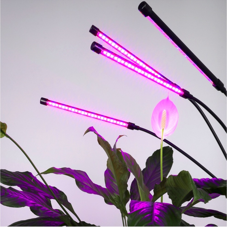 Brilagi - LED Stmívatelná flexibilní stojací lampa pro pěstování rostlin VITABLOOM 4xLED/7,5W/230V černá