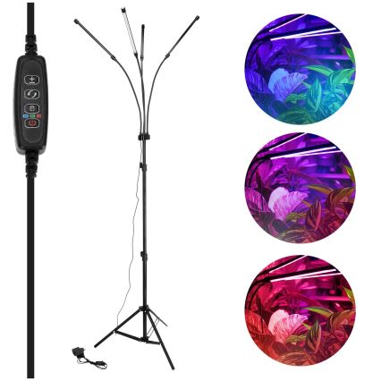 Brilagi - LED Stmívatelná flexibilní stojací lampa pro pěstování rostlin VITABLOOM 4xLED/7,5W/230V černá
