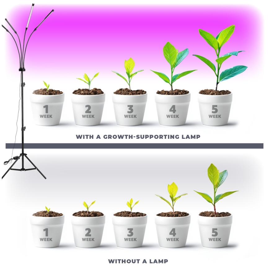 Brilagi - LED Stmívatelná flexibilní stojací lampa pro pěstování rostlin VITABLOOM 4xLED/7,5W/230V černá