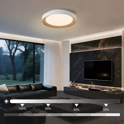 Brilagi - LED Stmívatelné stropní svítidlo NEXO LED/48W/230V 3000-6000K bílá pr. 43 cm + dálkové ovládání