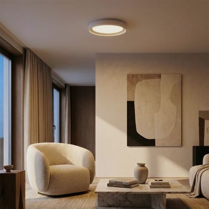 Brilagi - LED Stmívatelné stropní svítidlo WALDO LED/48W/230V 3000-6500K pr. 40 cm bílá/stříbrná + dálkové ovládání
