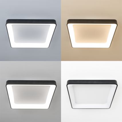 Brilagi - LED Stmívatelné stropní svítidlo FALCON II LED/125W/230V 3000-6500K 60x60 cm černá + dálkové ovládání
