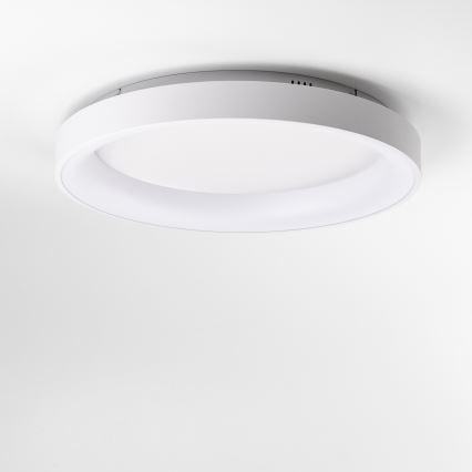 Brilagi - LED Stmívatelné stropní svítidlo FALCON II LED/99W/230V 3000-6500K pr. 60 cm bílá + dálkové ovládání