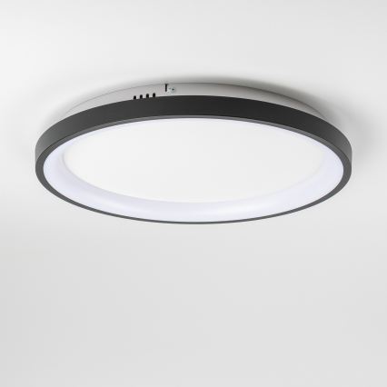 Brilagi - LED Stmívatelné stropní svítidlo FALCON SLIM LED/42W/230V 3000-6500K pr. 50 cm černá + dálkové ovládání