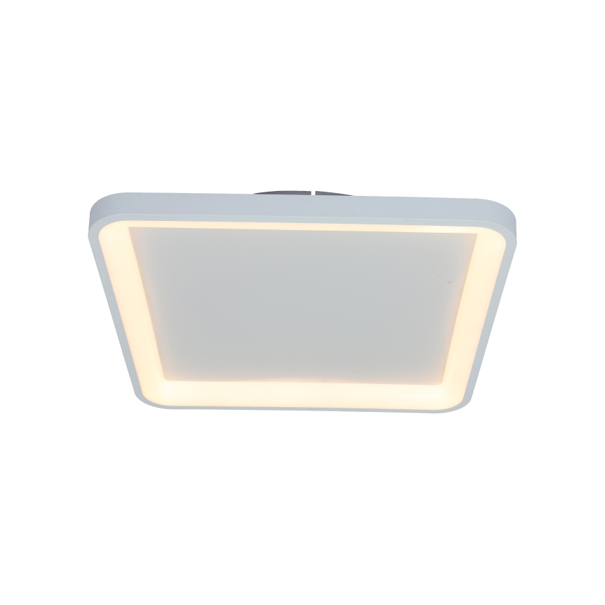 Brilagi - LED Stmívatelné stropní svítidlo FALCON SLIM LED/50W/230V 3000-6500K 50x50 cm bílá + dálkové ovládání