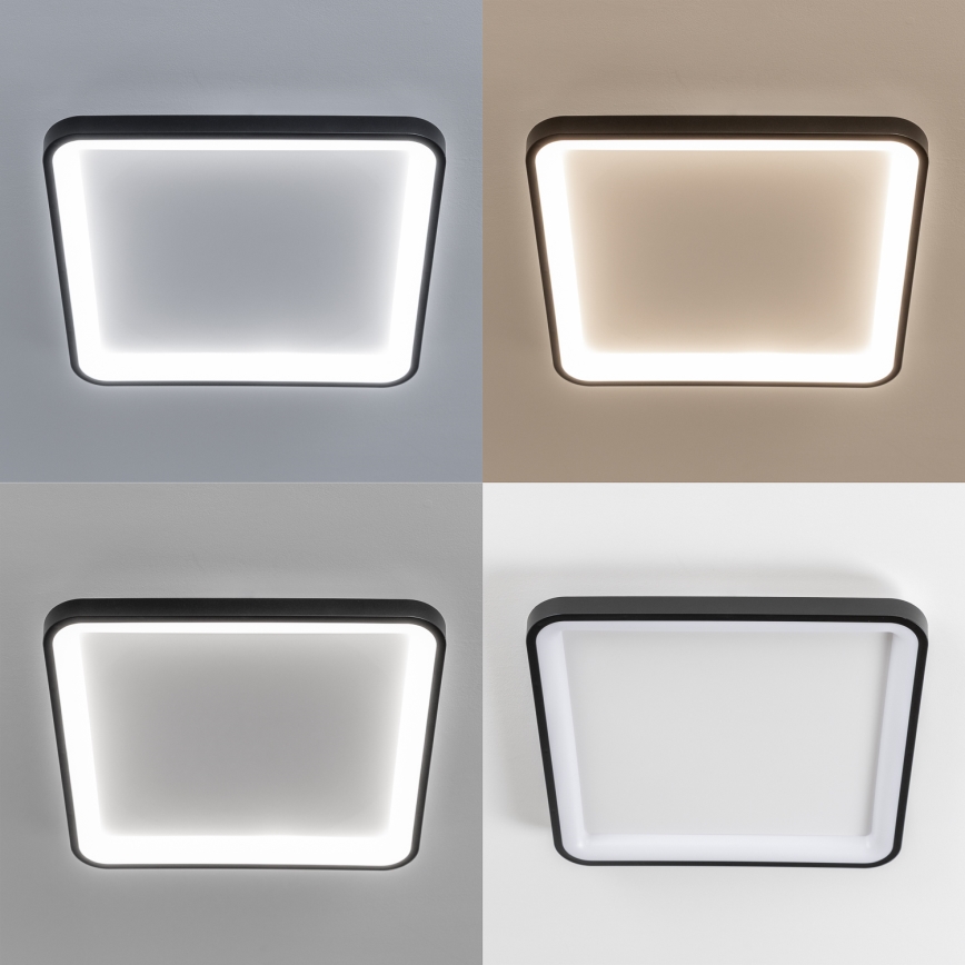 Brilagi - LED Stmívatelné stropní svítidlo FALCON SLIM LED/50W/230V 3000-6500K 50x50 cm černá + dálkové ovládání