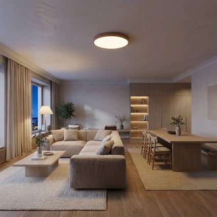 Brilagi - LED Stmívatelné stropní svítidlo POOL LED/50W/230V 3000-6000K pr. 40 cm dekor dřeva + dálkové ovládání