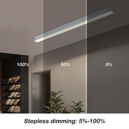 Brilagi - LED Stmívatelné stropní svítidlo SLEEKLINE SMART LED/40W/230V 3000-6000K Wi-Fi Tuya stříbrná + dálkové ovládání