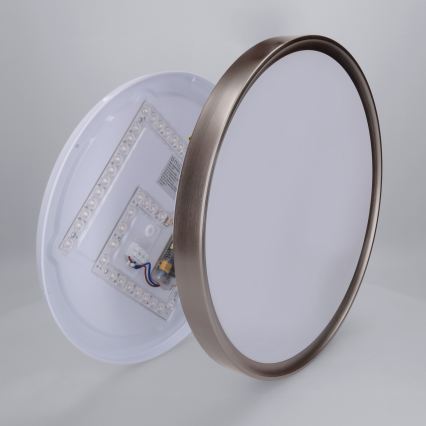 Brilagi - LED Stmívatelné stropní svítidlo FANCIA LED/48W/230V 3000-6500K pr. 39 cm stříbrná + dálkové ovládání