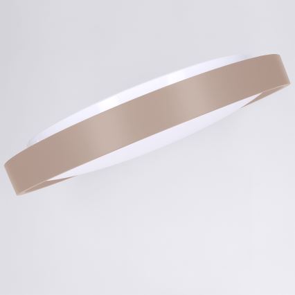 Brilagi - LED Stmívatelné stropní svítidlo MATTEO LED/48W/230V 3000-6500K pr. 41 cm taupe  + dálkové ovládání