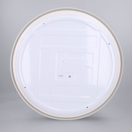 Brilagi - LED Stmívatelné stropní svítidlo MATTEO LED/60W/230V 3000-6500K pr. 51,5 cm taupe + dálkové ovládání