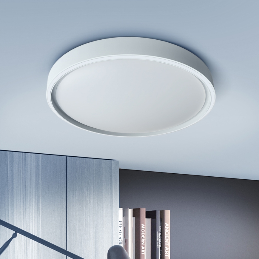 Brilagi - LED Stmívatelné stropní svítidlo NANCI LED/60W/230V 3000-6500K pr. 49 cm stříbrná + dálkové ovládání