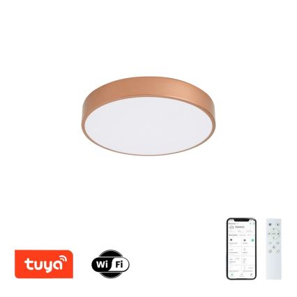 BRILAGI - LED Stmívatelné stropní svítidlo POOL SMART LED/48W/230V 3000-6000K pr. 40 cm Wi-Fi Tuya měděná + dálkové ovládání
