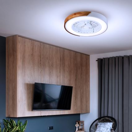 Brilagi - LED Stmívatelné stropní svítidlo s ventilátorem LED/30W/230V 3000-6500K bílá/dub + dálkové ovládání