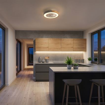 Brilagi - LED Stmívatelné stropní svítidlo s ventilátorem LED/38W/230V 3000-6500K pr. 50 cm šedá/dub + dálkové ovládání
