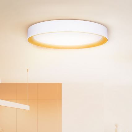 Brilagi - LED Stmívatelné stropní svítidlo LARIOS LED/72W/230V bílá pr. 59 cm + dálkové ovládání