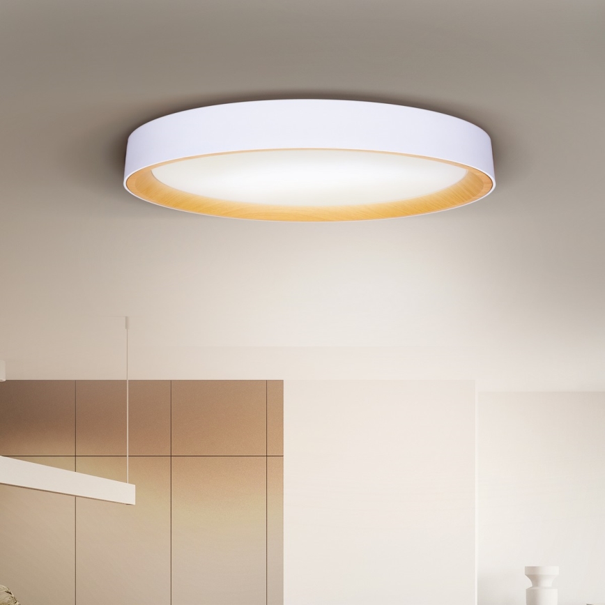 Brilagi - LED Stmívatelné stropní svítidlo LARIOS LED/72W/230V bílá pr. 59 cm + dálkové ovládání