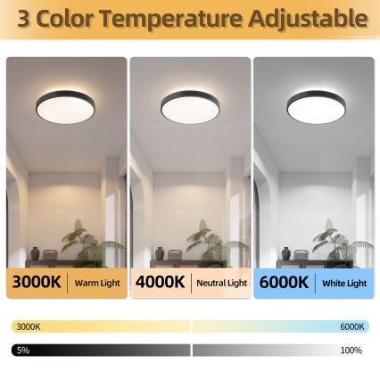 Brilagi - LED Stmívatelné stropní svítidlo GLASS POOL DOUBLE LED/48W/230V 3000-6000K 40 cm černá + dálkové ovládání