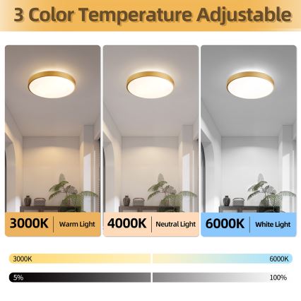 Brilagi - LED Stmívatelné stropní svítidlo GLASS POOL DOUBLE LED/48W/230V 3000-6000K 40 cm zlatá + dálkové ovládání