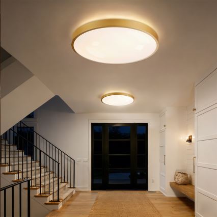 Brilagi - LED Stmívatelné stropní svítidlo GLASS POOL DOUBLE LED/80W/230V 3000-6000K 60 cm zlatá + dálkové ovládání