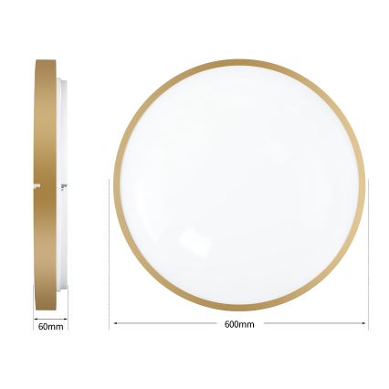 Brilagi - LED Stmívatelné stropní svítidlo GLASS POOL DOUBLE LED/80W/230V 3000-6000K 60 cm zlatá + dálkové ovládání