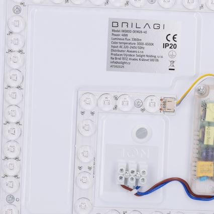 Brilagi - LED Stmívatelné stropní svítidlo NAOMI LED/48W/230V 3000-6500K pr. 39 cm černá + dálkové ovládání