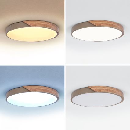 BRILAGI - LED Stmívatelné stropní svítidlo PILANA LED/60W/230V 3000-6500K dub/béžová pr. 60 cm + dálkové ovládání