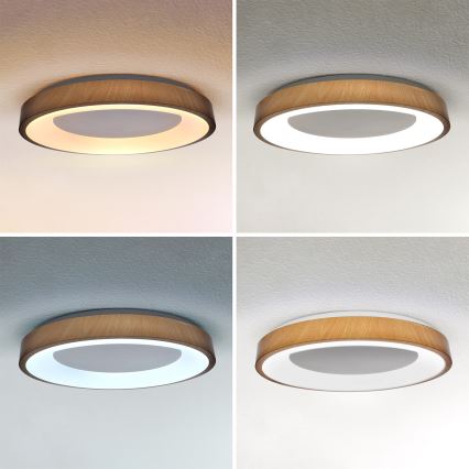 Brilagi - LED Stmívatelné stropní svítidlo DORIA LED/60W/230V 3000-6500K pr. 60 cm + dálkové ovládání