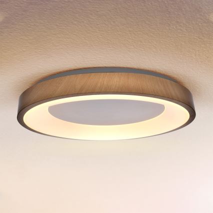 Brilagi - LED Stmívatelné stropní svítidlo DORIA LED/60W/230V 3000-6500K pr. 60 cm + dálkové ovládání