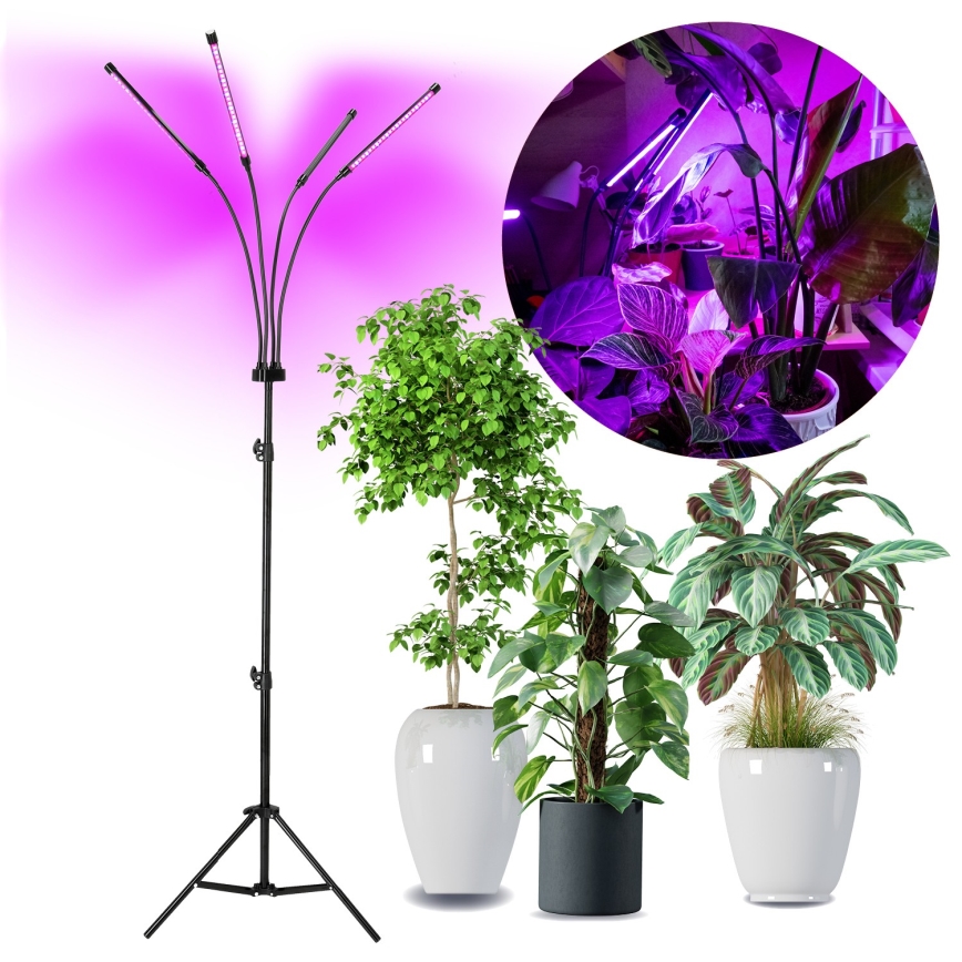 Brilagi - LED Stmívatelná flexibilní stojací lampa pro pěstování rostlin VITABLOOM 4xLED/7,5W/230V černá